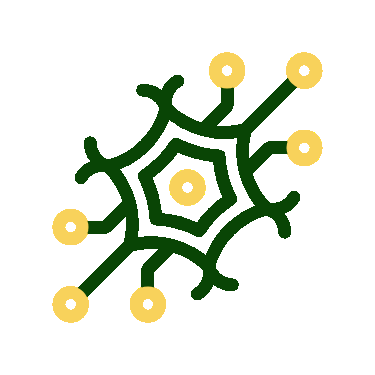 Our Breakthrough Method