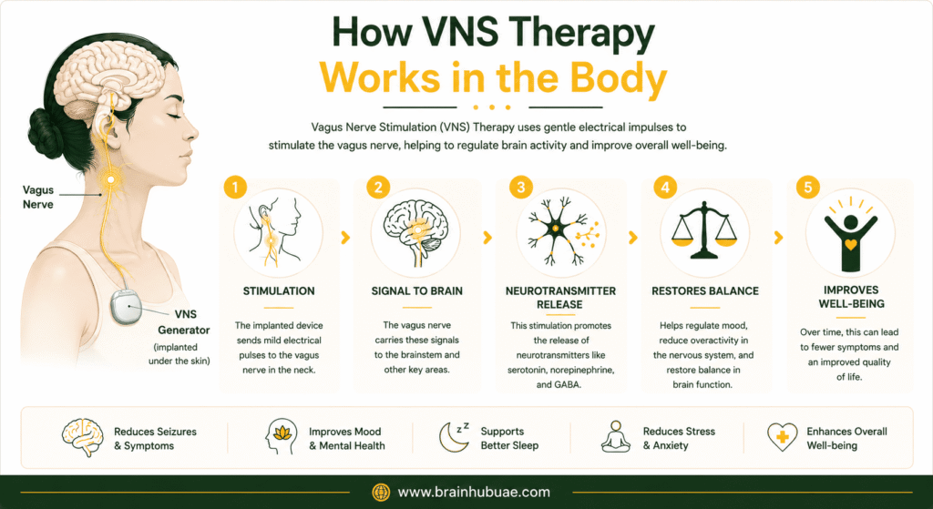 how VNS works in the body